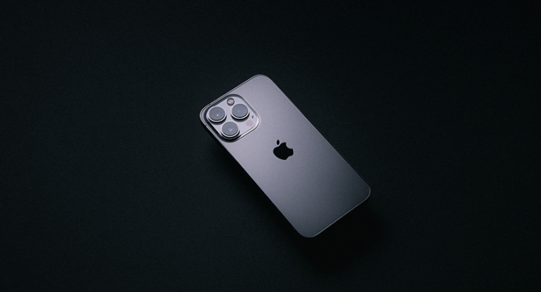 13 Pro Max 256GB